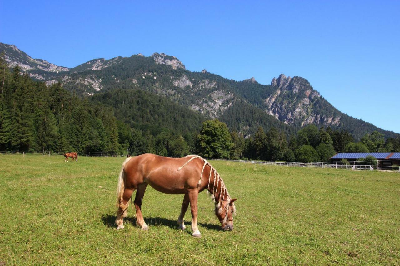 Ferienhaus Gestüt Pfaffenlehen Bischofswiesen Exterior foto